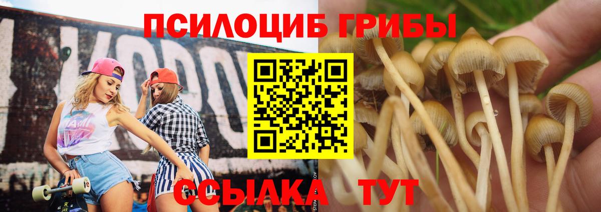 Псилоцибиновые грибы Psilocybine cubensis Каменка