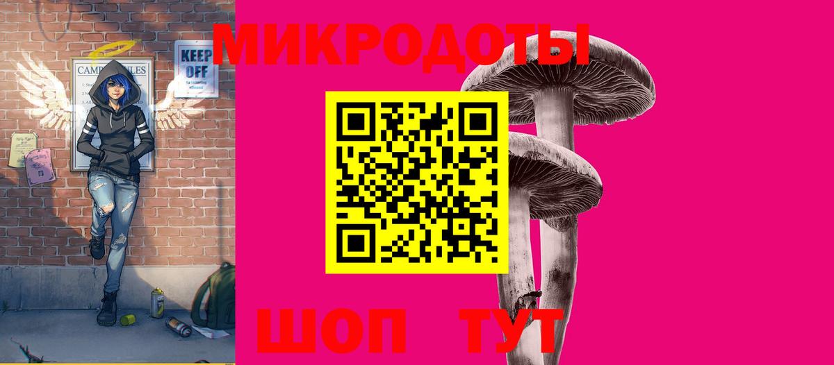 Каменка  Псилоцибиновые грибы MAGIC MUSHROOMS  Вход с VPN 