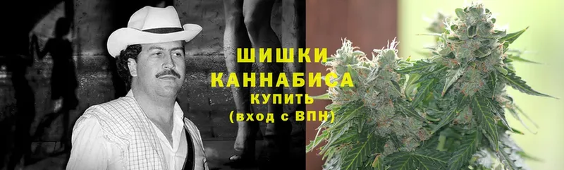 Бошки Шишки White Widow  mega маркетплейс  Каменка 