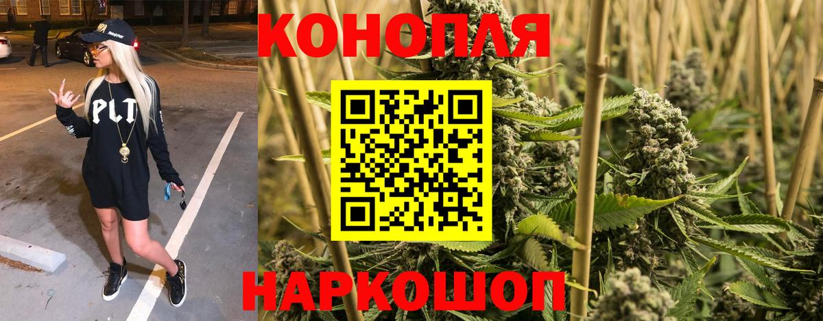 Каннабис конопля  Каннабис ГИДРОПОН  Конопля конопля  Каменка  Бошки Шишки Amnesia 